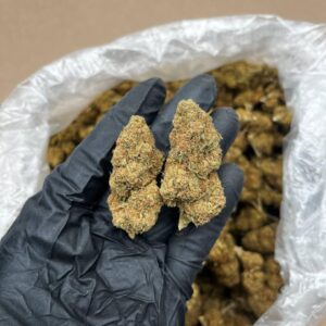 Papaya Punch