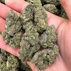 Lemon Cherry Gelato 🍋🍒🍧
