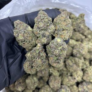 Cali Kush 😤🌆