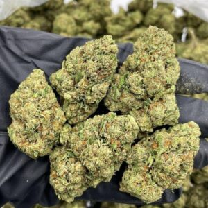 Gelato 🍧