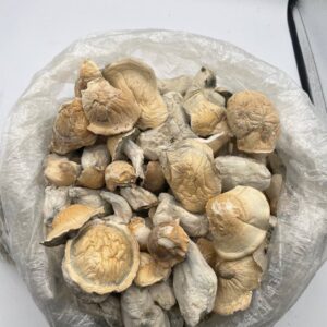 Shrooms